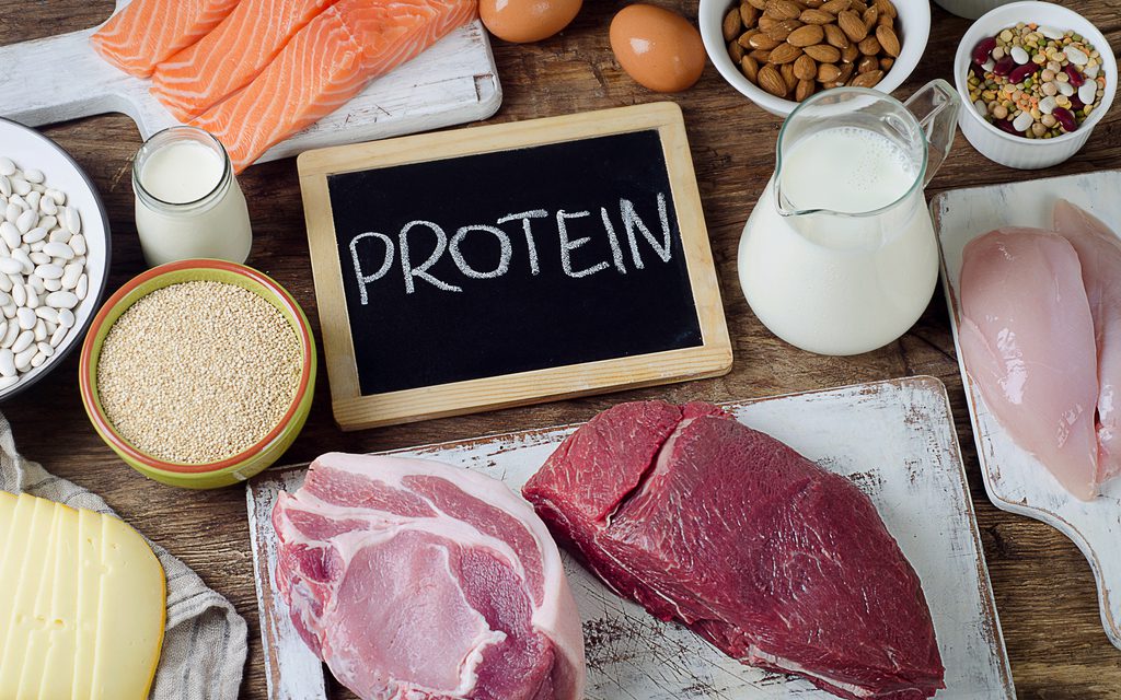 Healthy Foods High in Protein Low in Fat