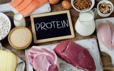 Healthy Foods High in Protein Low in Fat  