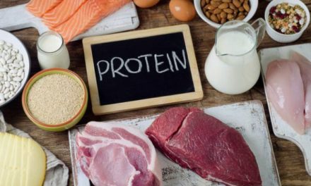 Healthy Foods High in Protein Low in Fat  