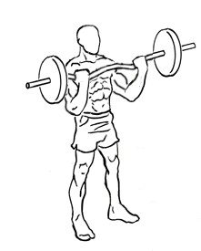 Wide grip EZ bar bicep curl