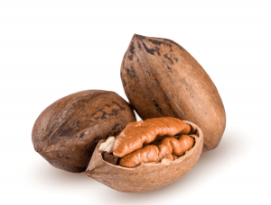 low carb pecan nut