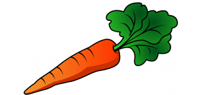carrot great for vitamin A