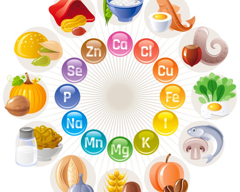A Better Understanding Of Food And Nutrition