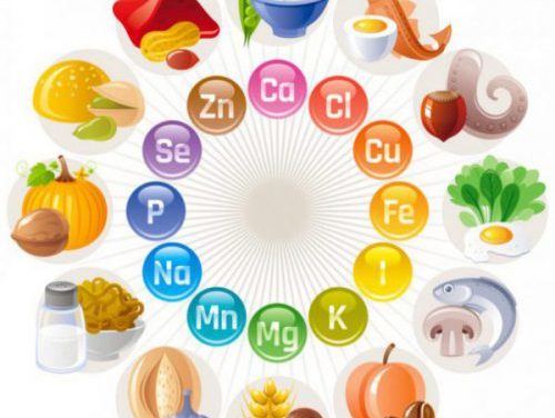 A Better Understanding Of Food And Nutrition