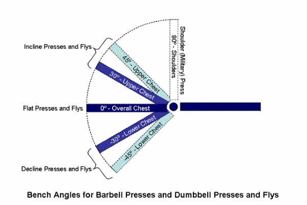 bench angles for barbell presses and flys