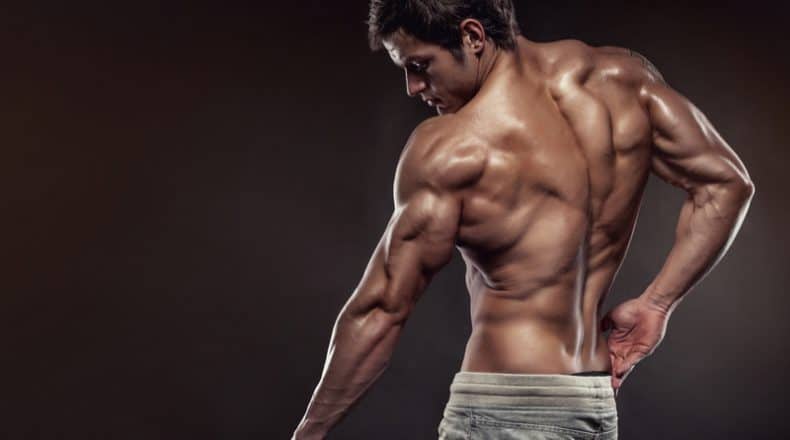Top 4 Tricep Exercises With Dumbbells At Home Workout