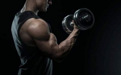 Best Adjustable Dumbbell Set For 2026 Reviews & Comparisons