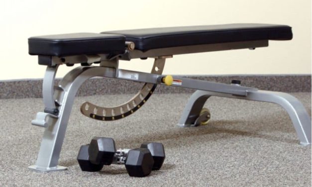 Best Weight Bench For Home Gym – Buyers Guide