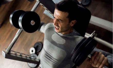 Top 5 Budget Weight Benches For home