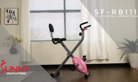 Everything You Need To Know About The Sunny Folding Recumbent Bike (Review)