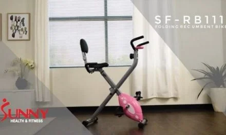 Everything You Need To Know About The Sunny Folding Recumbent Bike (Review)