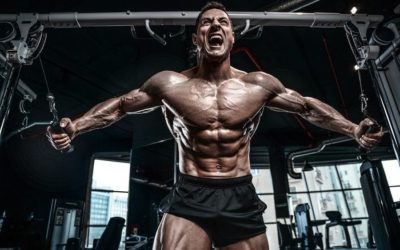 Hypertrophy Training Routines