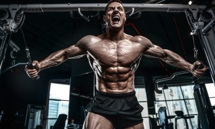 Hypertrophy Training Routines