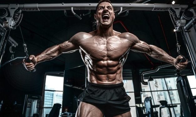 Hypertrophy Training Routines