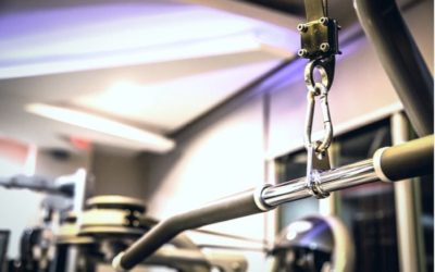 Best Lat Pulldown Machine 2025 Reviews & Comparisons