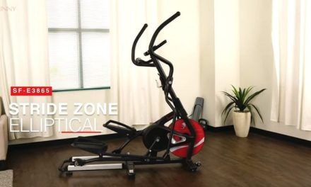 Sunny Health & Fitness SF-E3865 Elliptical Review