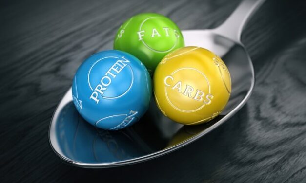 Protein And Carbs