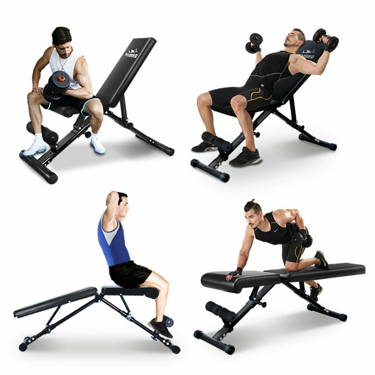 flybird adjustable positions