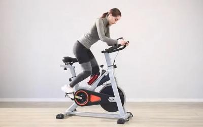Merax Spin Bike Review Best Under $300?