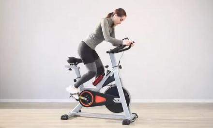 Merax Spin Bike Review Best Under $300?