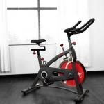 Sunny Health & Fitness SF-B1423 Belt Drive Indoor Cycling Bike in front room of house