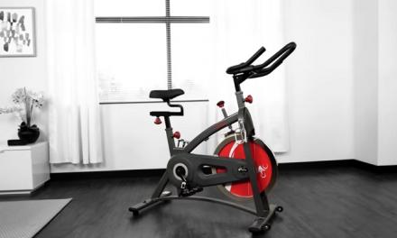 Sunny Health & Fitness SF-B1423 Belt Drive Indoor Cycling Bike Review