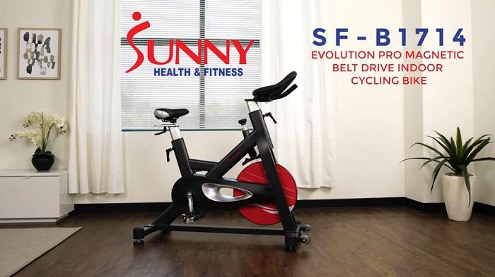 Sunny Health & Fitness SF-B1714 Evolution Pro Review
