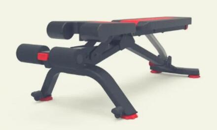 Bowflex 5.1s Stowable Bench Review: Everything you need to know