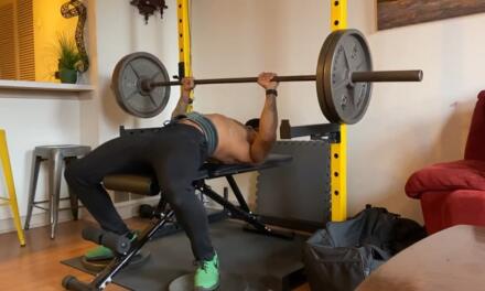 FlyBird Adjustable Bench Review: includes Comparisons