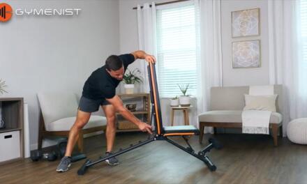 Everything You Need To Know About The Gymenist Exercise Bench