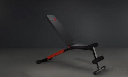 Everything You Need To Know About The Pelpo Weight Bench