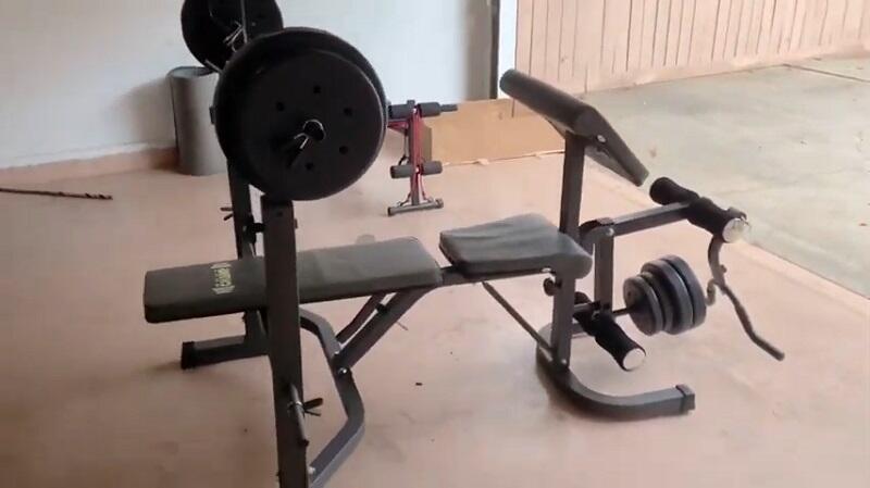 body champ Olympic weight bench in home gym