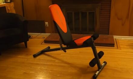 Is The Weider Pro 225 L Weight Bench a Smart Buy?