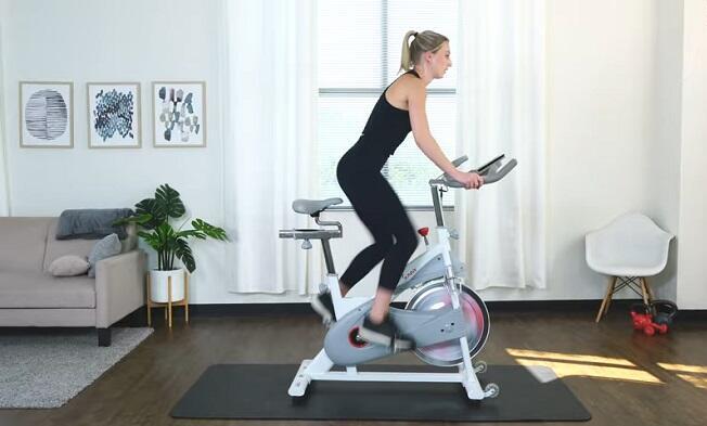 best budget spin bike sunny health & fitness budget spin bike