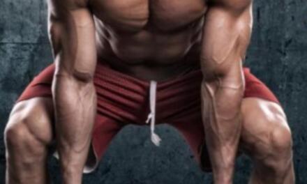 Weight Plate Exercises For Weight Loss