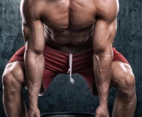 Weight Plate Exercises For Weight Loss