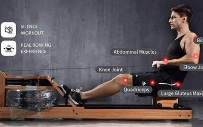 What Muscles Does a Rowing Machine Work?