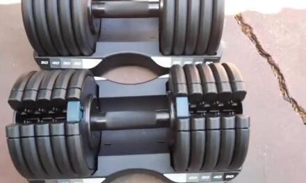 ProForm Adjustable Dumbbells 50lb Pair Review: solid, cheap Bowflex 552 alternative