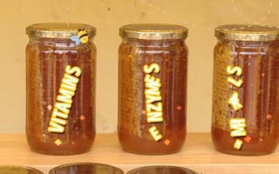What Are The Benefits of Honey? The Magical Food