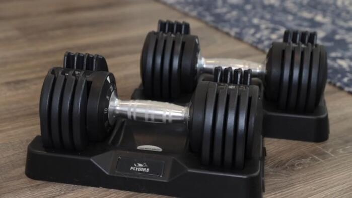 single flybird 25lb adjustable dumbbell flybird 25lb adjustable dumbbell in its storage cradle