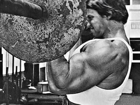 Arnolds Favorite Arm Exercise arnie barbell bicep curl