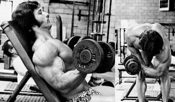 frank zane bicep curl