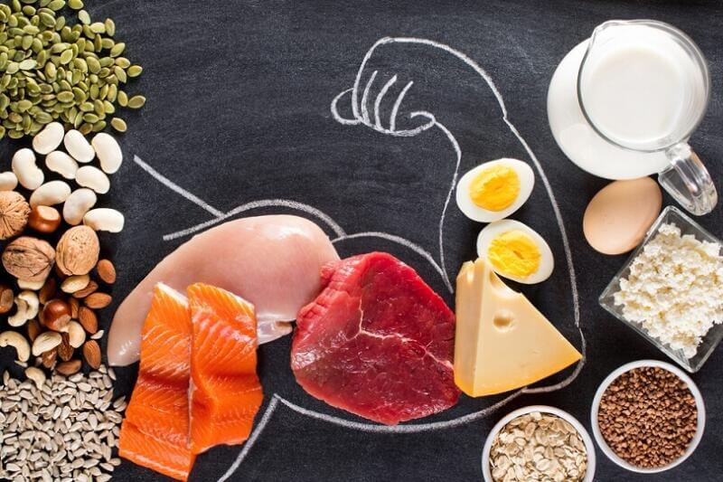 The Role of Protein in Muscle Building: Learn How To Build Lean Muscle