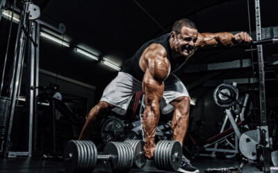 The 5 Fundamentals of Muscle Growth You Need To Learn