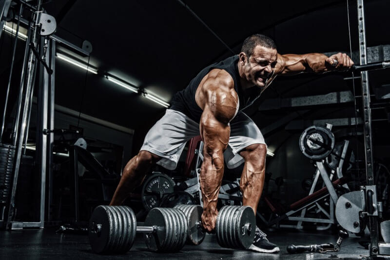 The 5 Fundamentals of Muscle Growth You Need To Learn