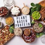 selection of plant-based protein foods