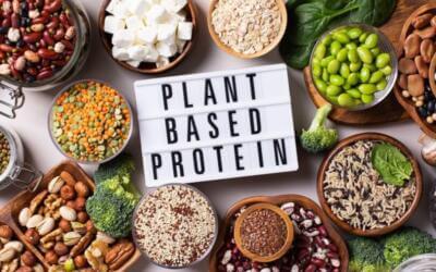 Top 16 Plant-Based Protein Alternatives: a complete guide for vegans