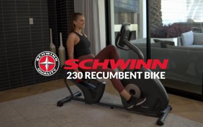 Schwinn 230 Recumbent Bike Review: pros, cons, cost, and more