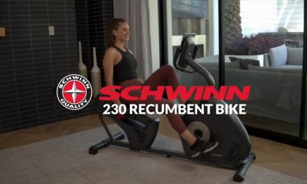 Schwinn 230 Recumbent Bike Review: pros, cons, cost, and more