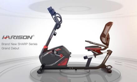 HARISON Recumbent Bike Review: cheap but good